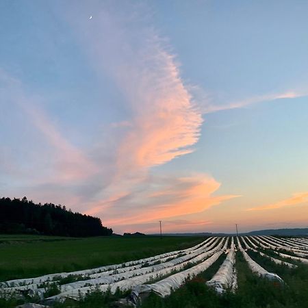 Wohnen Im Wasserschloss Sandizell Шробенгаузен Екстер'єр фото